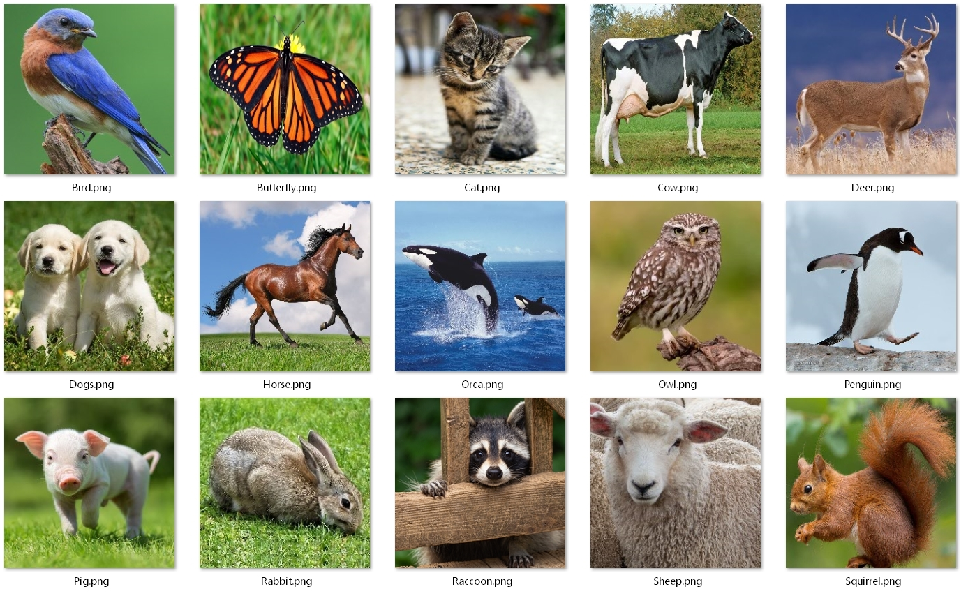 Animal images